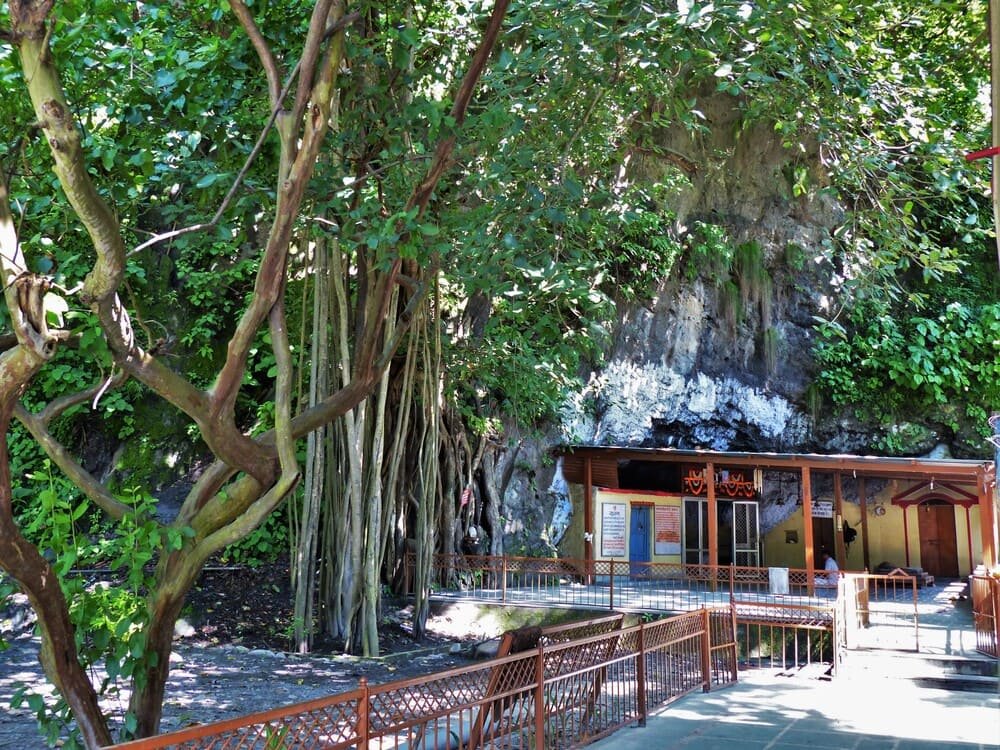 200 hour yoga teacher training in rishikesh