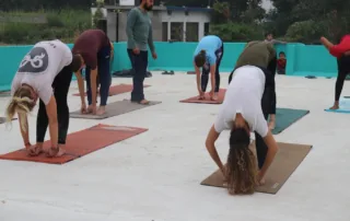 yoga training in rishikesh