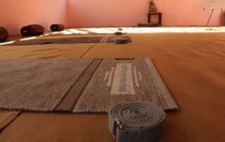 100 hour yoga teacher training rishikesh