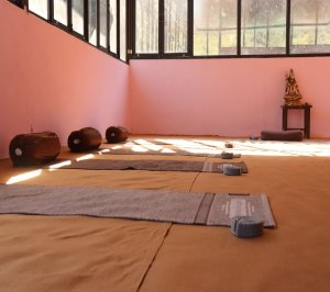 3 days yoga retreat in rishikesh
