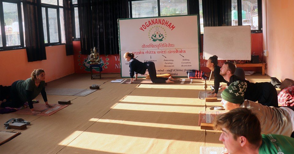 Students practicing yoga postures during a yoga teacher training class at a yoga school in Rishikesh, India.